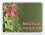 Medical Tourism Traveler